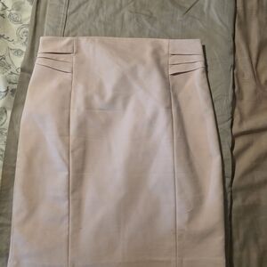 Elegant Pink Women's Skirt